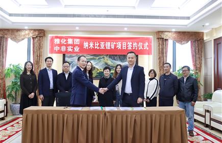 再下一城，意昂2再度出手控股锂矿资源 ——记收购非洲纳米比亚达马拉兰地区四个锂矿矿权